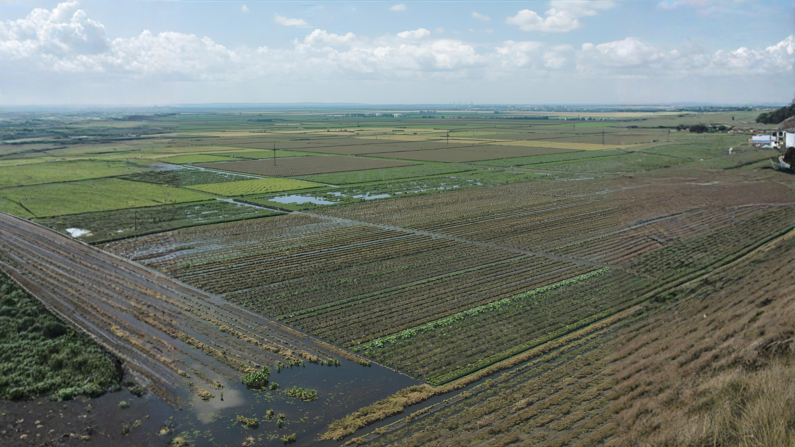 Agriculture and Animal Exports: Ensuring Quality and Sustainability